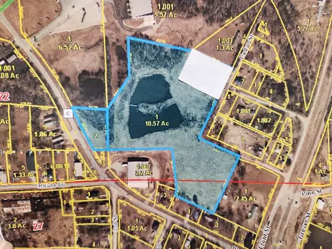 tbd W Pine St, Phillipsburg, MO 65722 photo 2