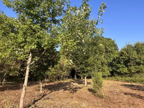 0 29- Ithaca Ln, Neosho, MO 64850 photo 10