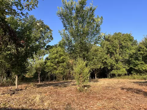 0 29- Ithaca Ln, Neosho, MO 64850 photo 7