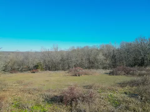 000 Dd Hwy, Lanagan, MO 64847 photo 22