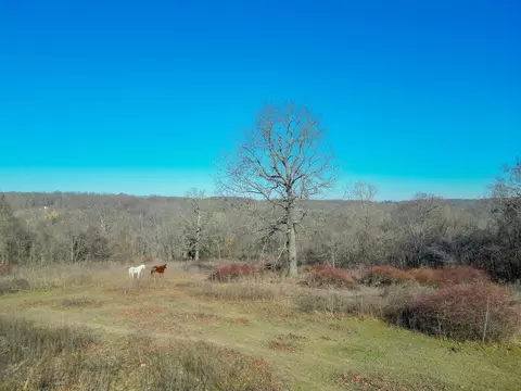 000 Dd Hwy, Lanagan, MO 64847 photo 27