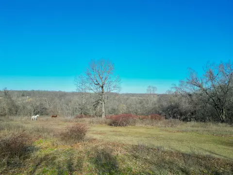 000 Dd Hwy, Lanagan, MO 64847 photo 15