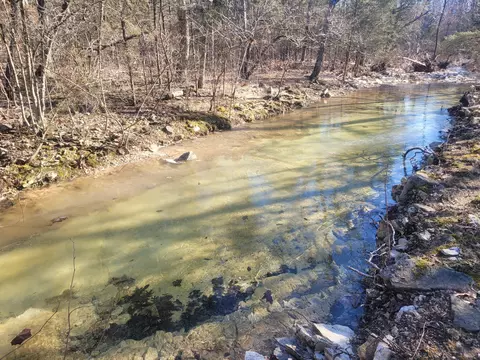 View/Area - 361 Hickory Flats Rd, Ava, MO 65608 photo 1 of 4