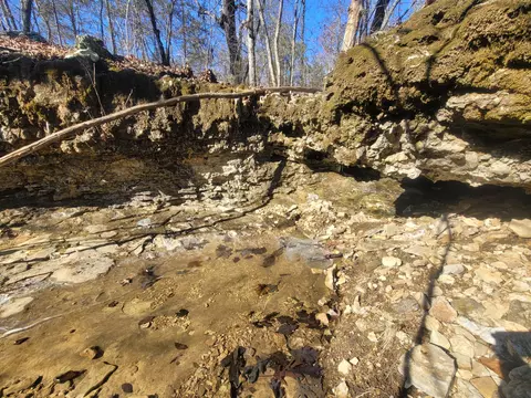 Other - 361 Hickory Flats Rd, Ava, MO 65608 photo 17 of 33