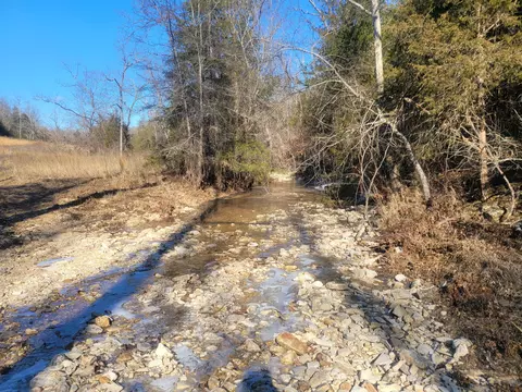 Other - 361 Hickory Flats Rd, Ava, MO 65608 photo 6 of 33