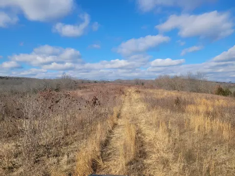 Other - 361 Hickory Flats Rd, Ava, MO 65608 photo 18 of 33