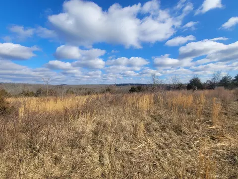 Other - 361 Hickory Flats Rd, Ava, MO 65608 photo 20 of 33