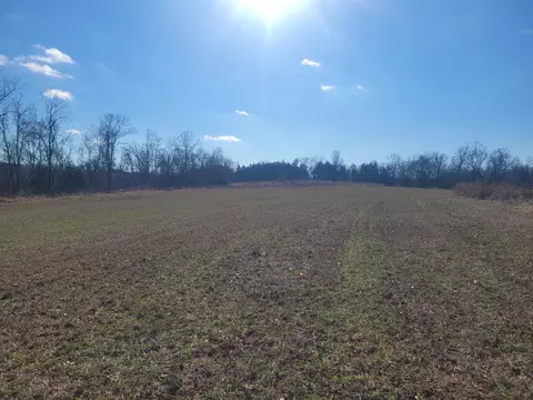 Other - 361 Hickory Flats Rd, Ava, MO 65608 photo 4 of 33
