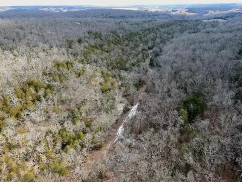 Other - 361 Hickory Flats Rd, Ava, MO 65608 photo 28 of 33