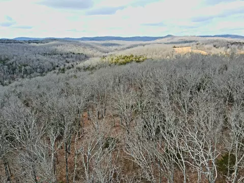 Other - 361 Hickory Flats Rd, Ava, MO 65608 photo 31 of 33