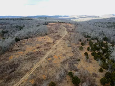 Other - 361 Hickory Flats Rd, Ava, MO 65608 photo 26 of 33