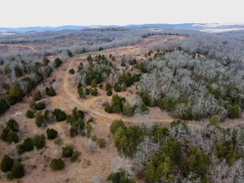 View/Area - 361 Hickory Flats Rd, Ava, MO 65608 photo 3 of 4
