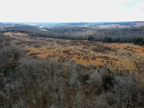 View/Area - 361 Hickory Flats Rd, Ava, MO 65608 photo 4 of 4