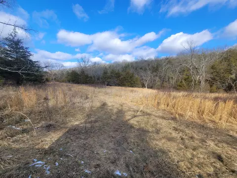 Other - 361 Hickory Flats Rd, Ava, MO 65608 photo 22 of 33