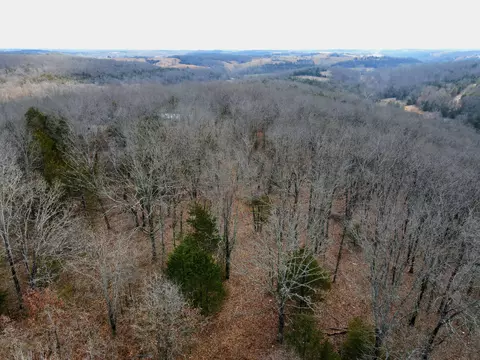 Other - 361 Hickory Flats Rd, Ava, MO 65608 photo 30 of 33