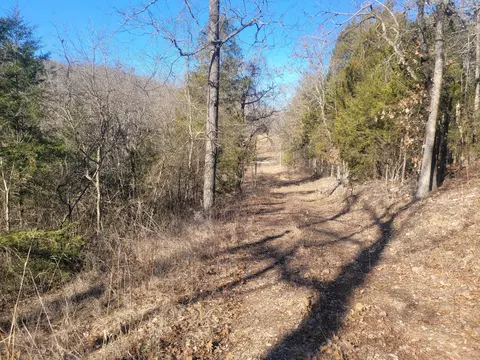 Other - 361 Hickory Flats Rd, Ava, MO 65608 photo 5 of 33
