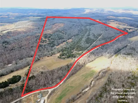 Other - 361 Hickory Flats Rd, Ava, MO 65608 photo 32 of 33