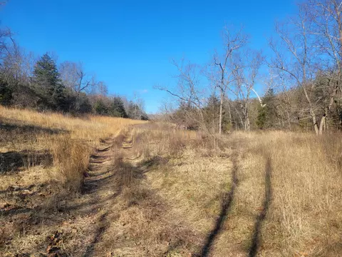 Other - 361 Hickory Flats Rd, Ava, MO 65608 photo 10 of 33