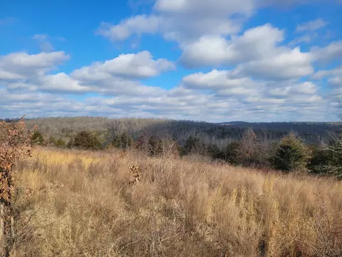 Other - 361 Hickory Flats Rd, Ava, MO 65608 photo 19 of 33
