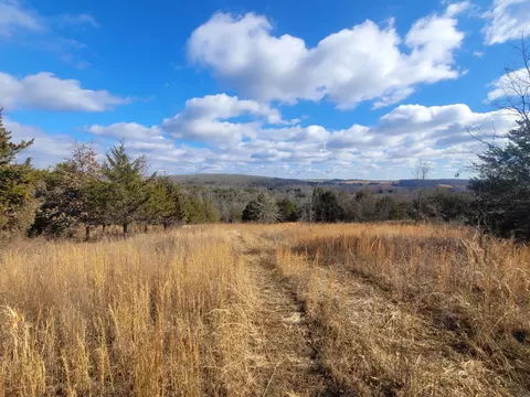 Other - 361 Hickory Flats Rd, Ava, MO 65608 photo 21 of 33