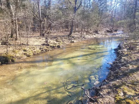 Other - 361 Hickory Flats Rd, Ava, MO 65608 photo 11 of 33