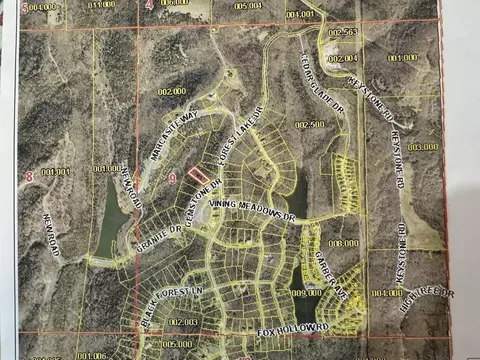 292 Gemstone, Branson West, MO 65737 photo 3