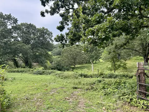 Exterior - 14776 State Highway Ff, Ava, MO 65608 photo 6 of 12