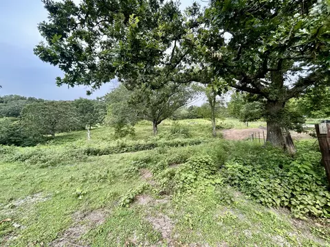 Exterior - 14776 State Highway Ff, Ava, MO 65608 photo 8 of 12
