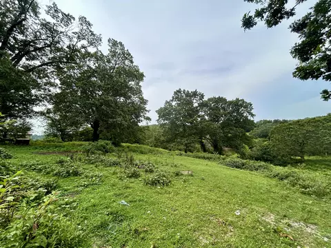 Exterior - 14776 State Highway Ff, Ava, MO 65608 photo 7 of 12