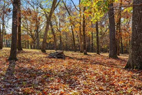 1369 Stormy Point Rd # -A, Branson, MO 65616 photo 25