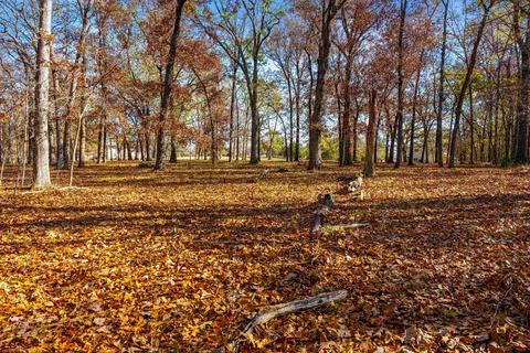 1369 Stormy Point Rd # -A, Branson, MO 65616 photo 26