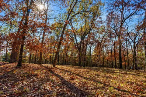 1369 Stormy Point Rd # -A, Branson, MO 65616 photo 30