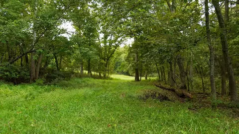 000 N State Highway 7, Roach, MO 65787 photo 76