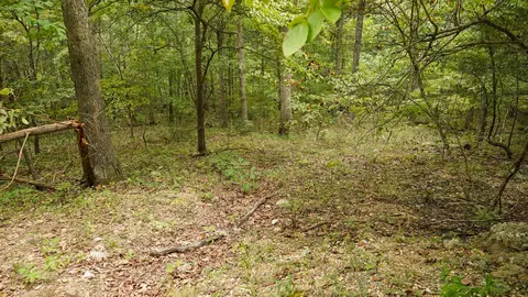 000 N State Highway 7, Roach, MO 65787 photo 71
