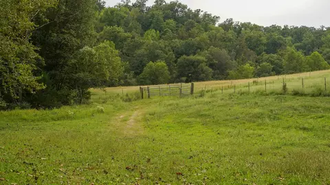 000 N State Highway 7, Roach, MO 65787 photo 42
