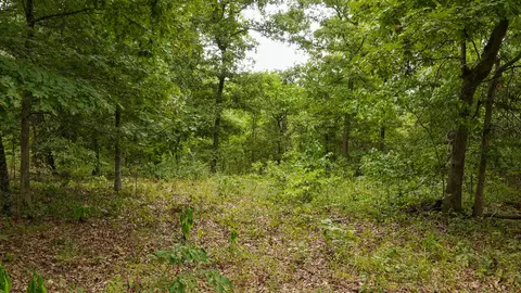 000 N State Highway 7, Roach, MO 65787 photo 66