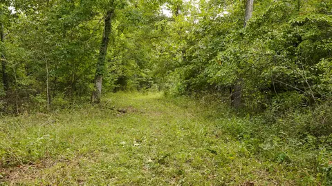 000 N State Highway 7, Roach, MO 65787 photo 53