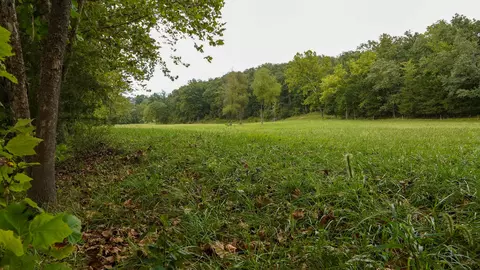 000 N State Highway 7, Roach, MO 65787 photo 37