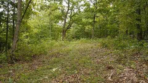 000 N State Highway 7, Roach, MO 65787 photo 56