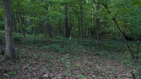 000 N State Highway 7, Roach, MO 65787 photo 79
