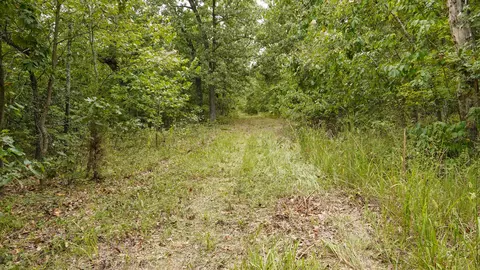 000 N State Highway 7, Roach, MO 65787 photo 67
