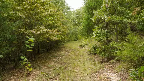 000 N State Highway 7, Roach, MO 65787 photo 64