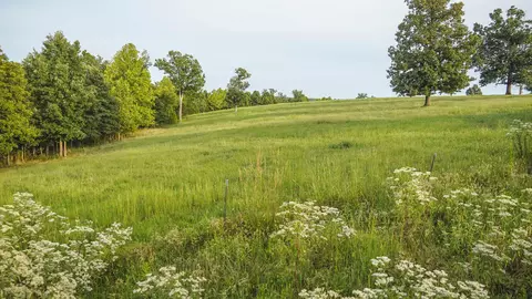 000 N State Highway 7, Roach, MO 65787 photo 43