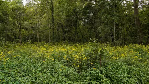 000 N State Highway 7, Roach, MO 65787 photo 35