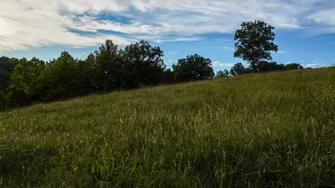 000 N State Highway 7, Roach, MO 65787 photo 49