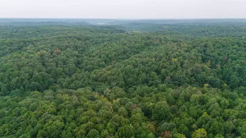 491 Low Gap Rd, Noel, MO 64854 photo 13