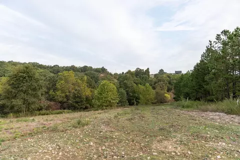 491 Low Gap Rd, Noel, MO 64854 photo 78