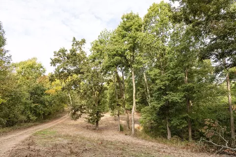 491 Low Gap Rd, Noel, MO 64854 photo 50