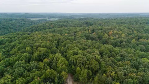 491 Low Gap Rd, Noel, MO 64854 photo 11