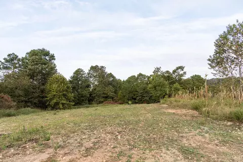 491 Low Gap Rd, Noel, MO 64854 photo 80
